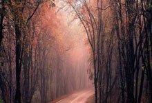 米兰体育:国米四球横扫弱旅 紧逼意甲领头羊.