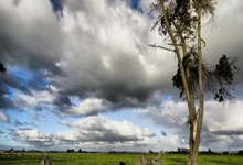 图片报:曼联对恩梅加很感兴趣,愿意支付万英镑的转会费.