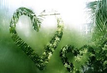 世界羽联秘书长托马斯·伦德专访回应争议热点:保护运动员健康始终是首要任务环球时报.