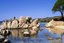 中超升班马初步签下奥斯卡 国有望增添归化新人.